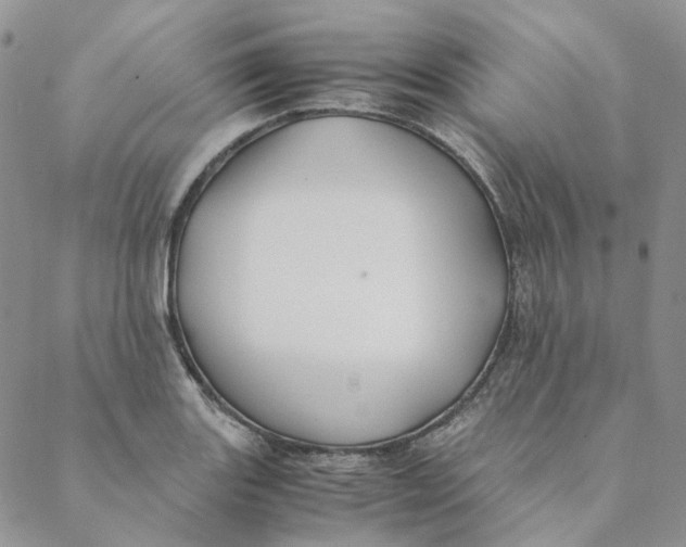 X0000088461131200706121457