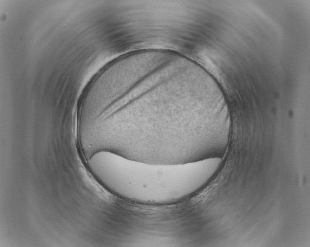 X0000088461132200706121458