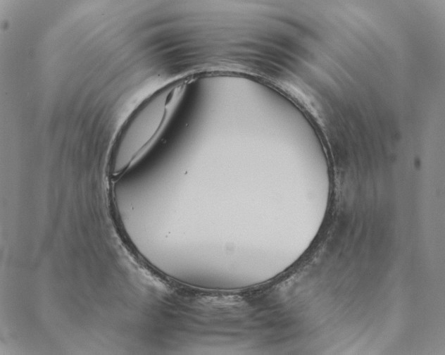 X0000088461133200706121458