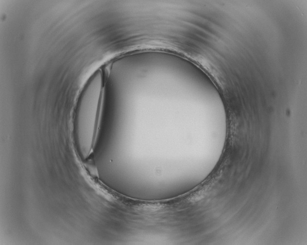 X0000088461134200706121458