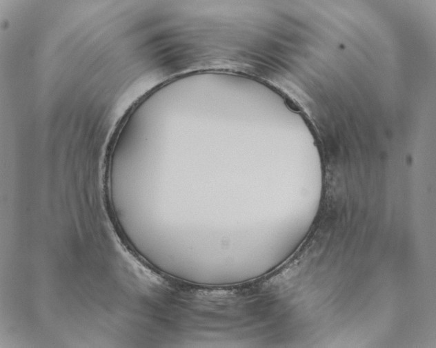 X0000088461135200706121458