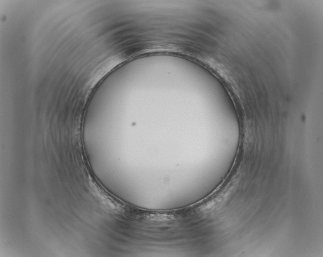 X0000088461137200706121458