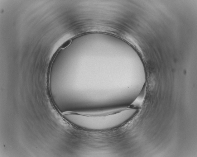 X0000088461138200706121458