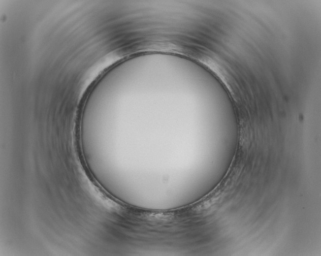 X0000088461139200706121458