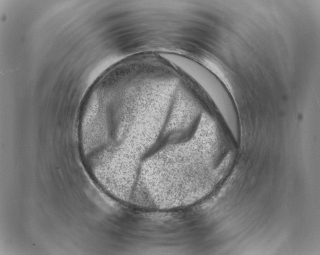 X0000088461141200706121458