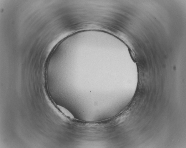 X0000088461142200706121458