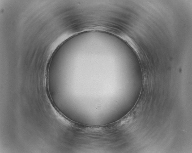 X0000088461143200706121458