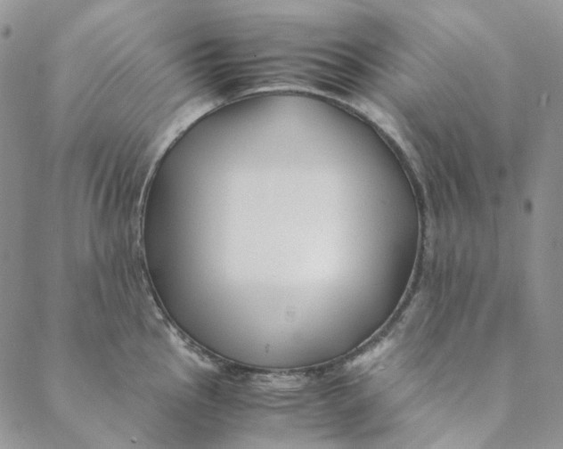 X0000088461145200706121458