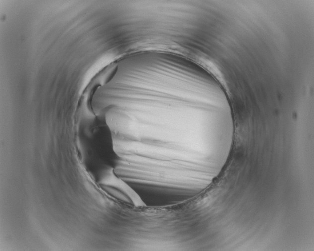 X0000088461146200706121458