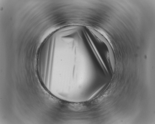 X0000088461147200706121458