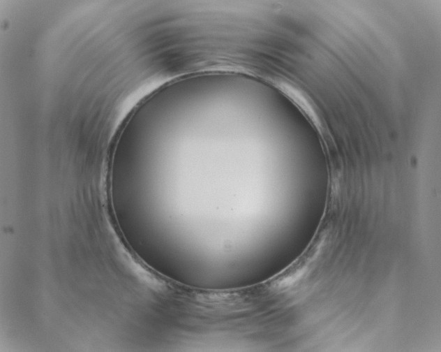 X0000088461149200706121458