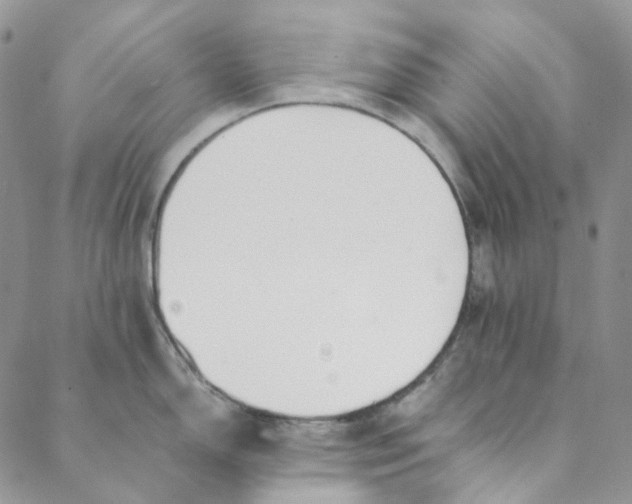 X0000088461150200706121458