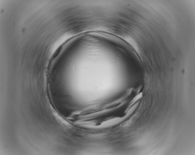 X0000088461151200706121458