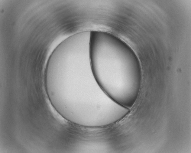 X0000088461152200706121458