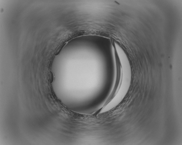 X0000088461153200706121457