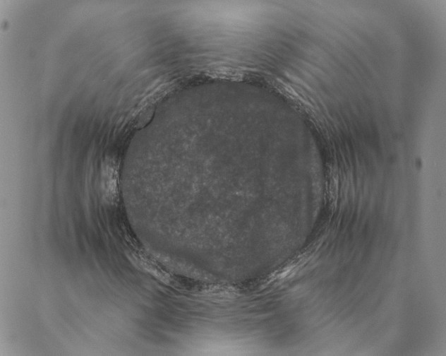 X0000088461154200706121457