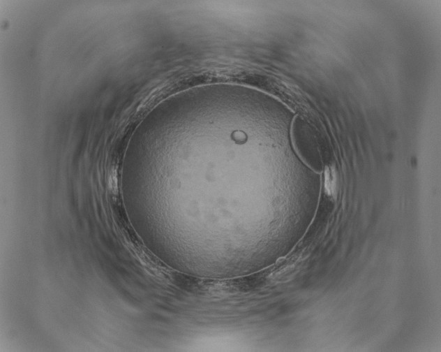 X0000088461155200706121457