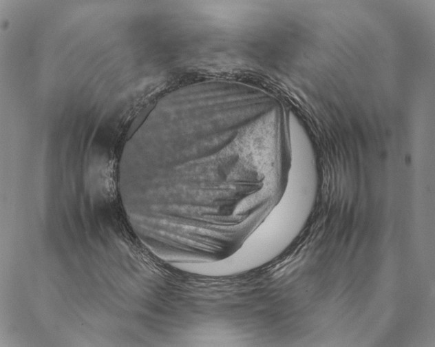 X0000088461156200706121457