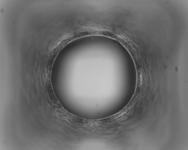 X0000088461157200706121457