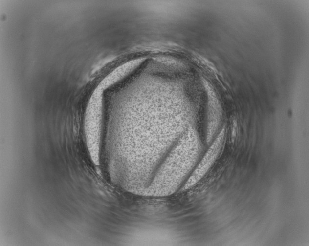 X0000088461158200706121457