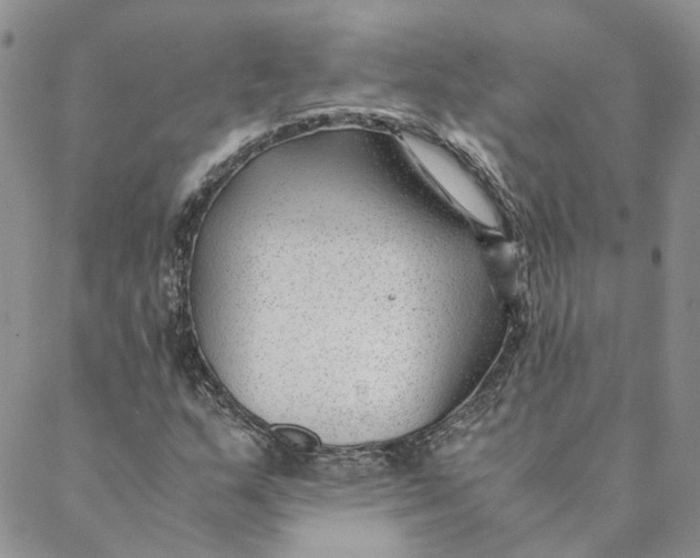 X0000088461159200706121457