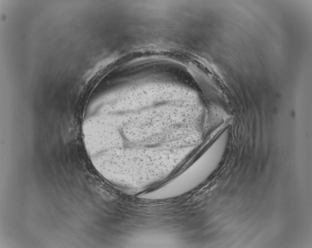 X0000088461160200706121457