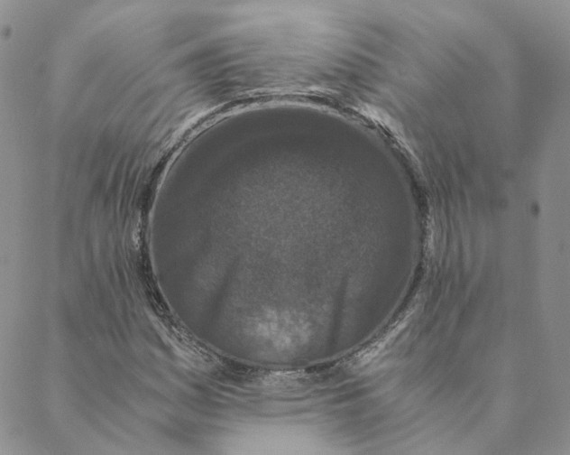 X0000088461161200706121457