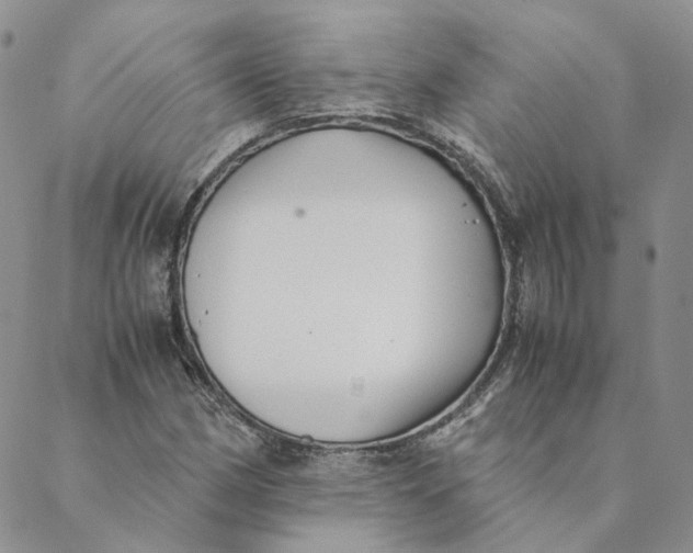 X0000088461162200706121457