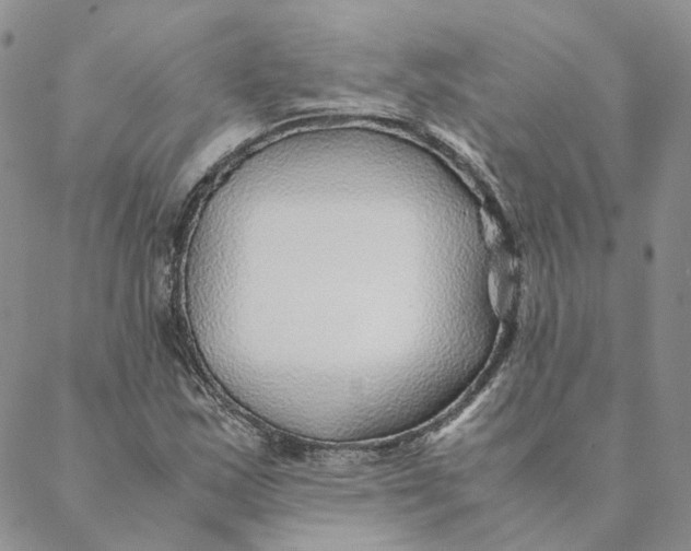 X0000088461163200706121457