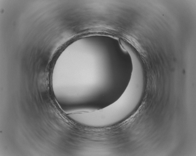 X0000088461164200706121457