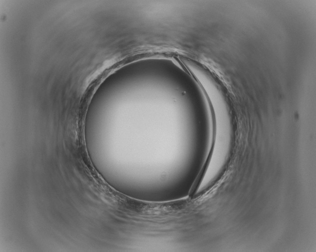 X0000088461165200706121457