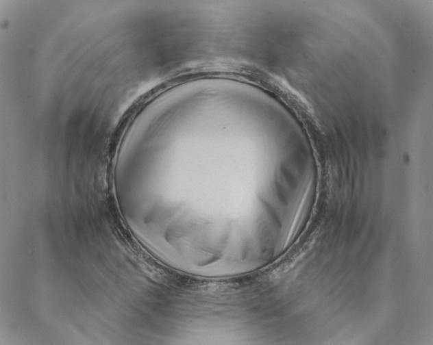 X0000088461166200706121457