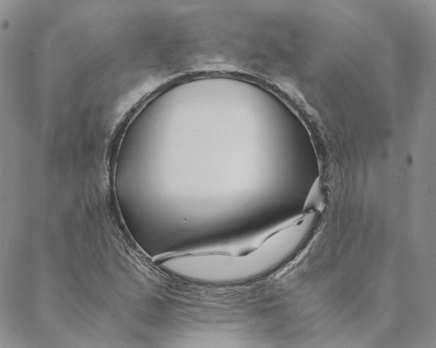 X0000088461167200706121457