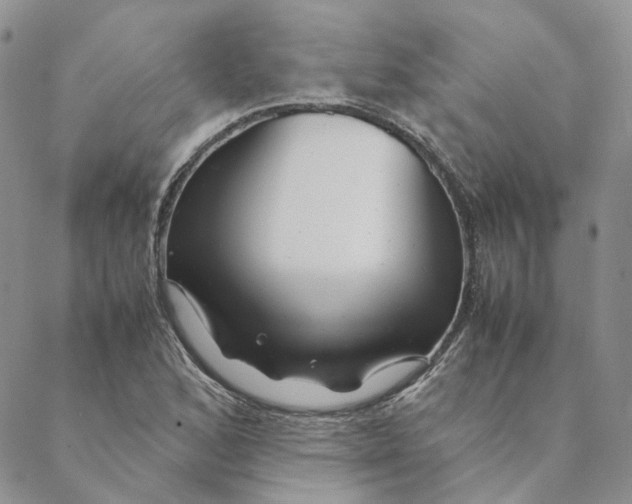 X0000088461168200706121457