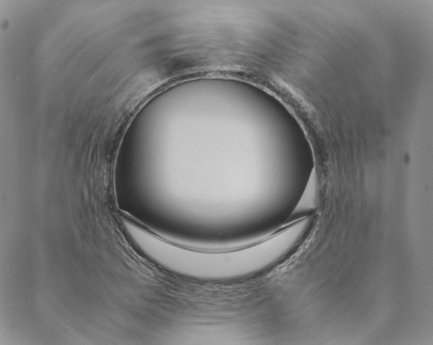 X0000088461169200706121457