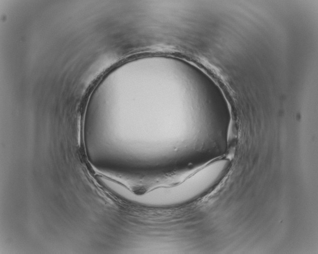 X0000088461171200706121457