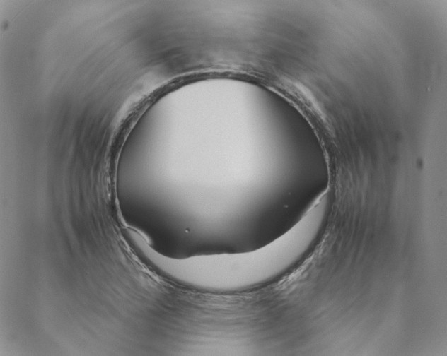 X0000088461172200706121457