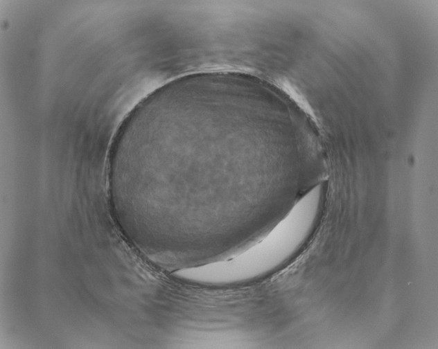 X0000088461173200706121457