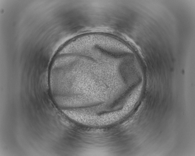 X0000088461174200706121457