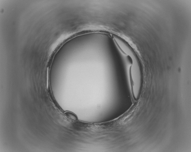 X0000088461175200706121457