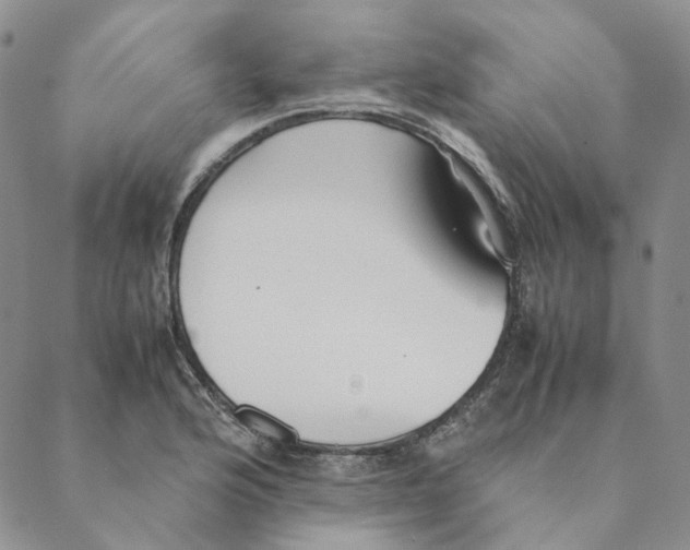 X0000088461176200706121457