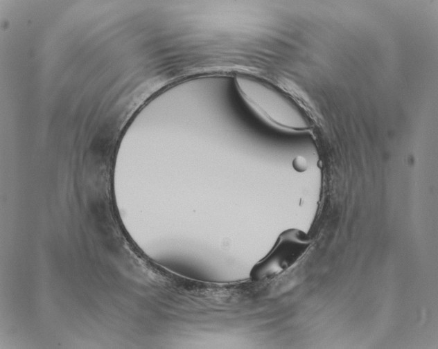 X0000088461177200706121457