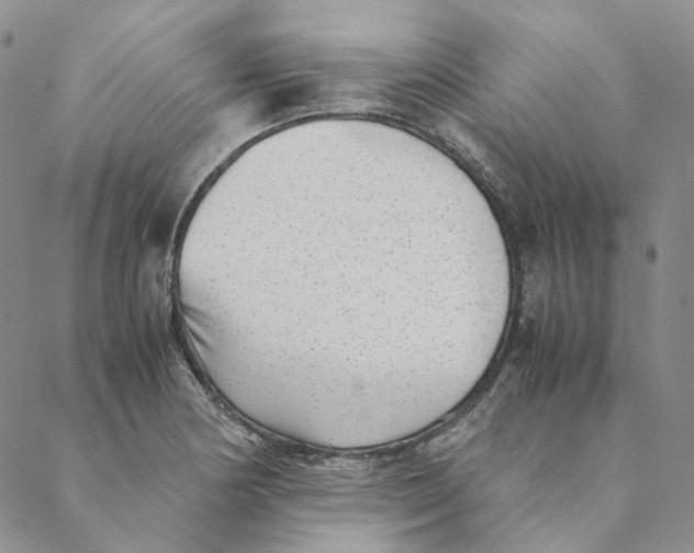 X0000088461178200706121457