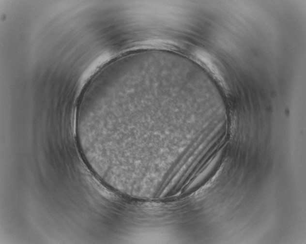 X0000088461180200706121457