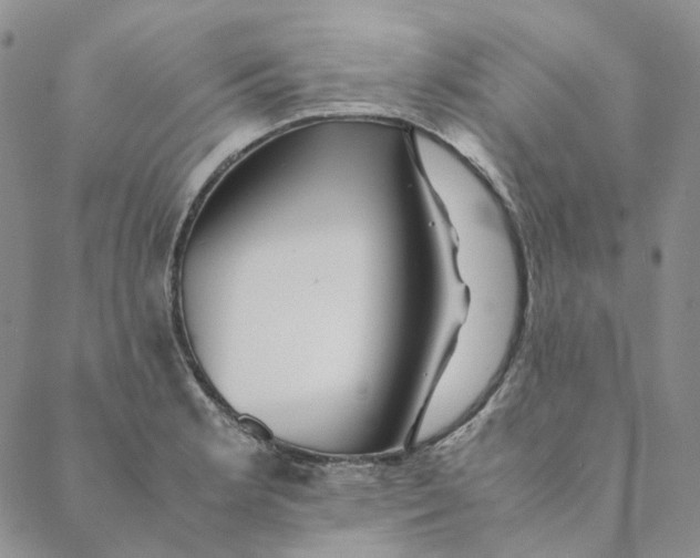 X0000088461181200706121457