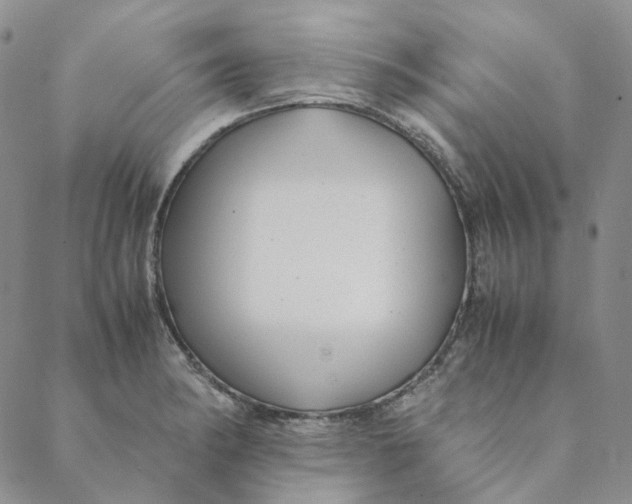 X0000088461182200706121457