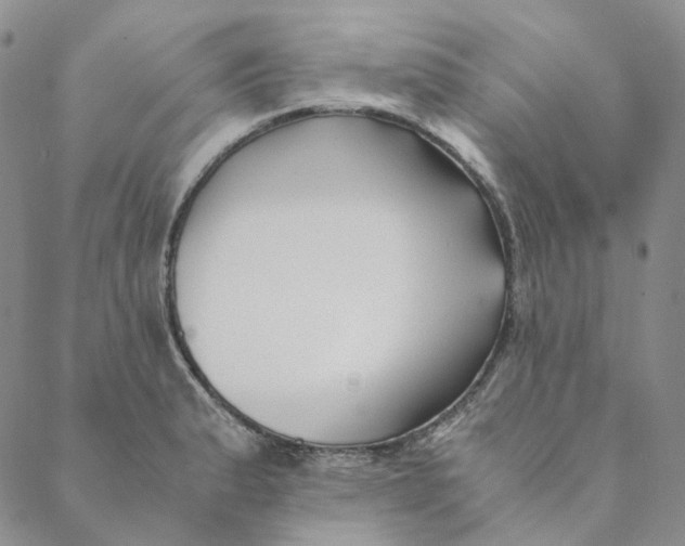 X0000088461183200706121457