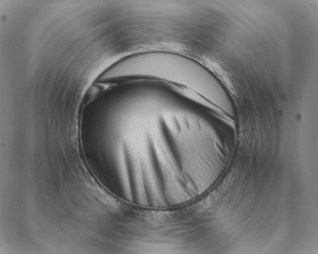 X0000088461184200706121457