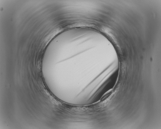 X0000088461185200706121457