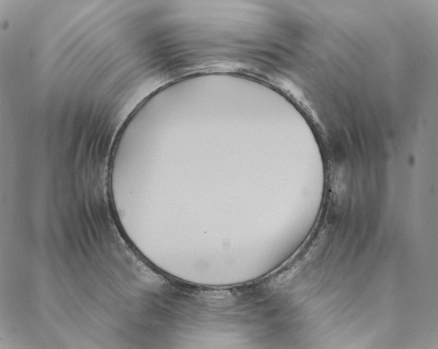 X0000088461186200706121457